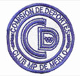 bordados